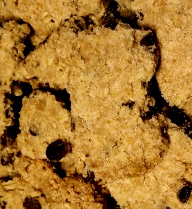 Vegan Davy Crockett Bars